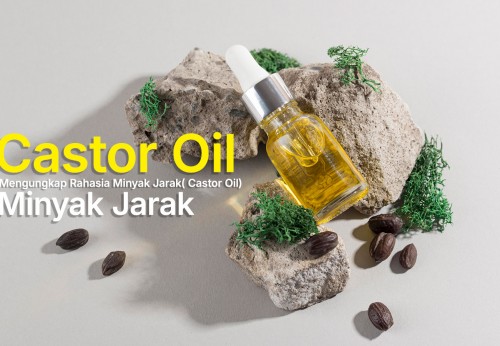 Mengungkap Rahasia Minyak Jarak( Castor Oil)